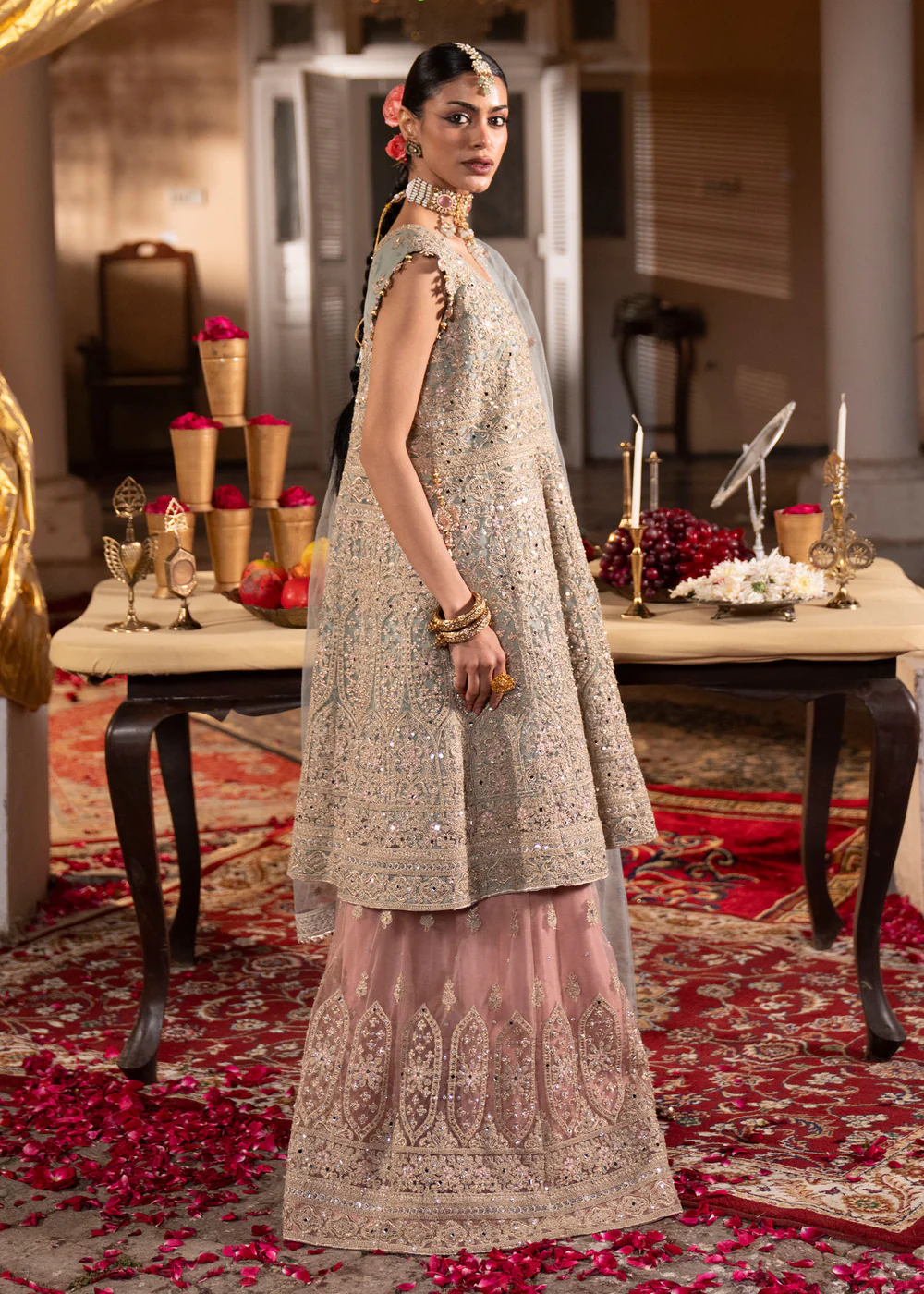 Light Blue Net Sharara Suit for Women in Ireland - Image 9
