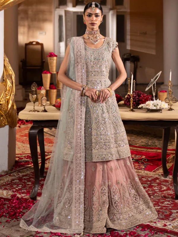 Light Blue Net Sharara Suit for Women in Ireland