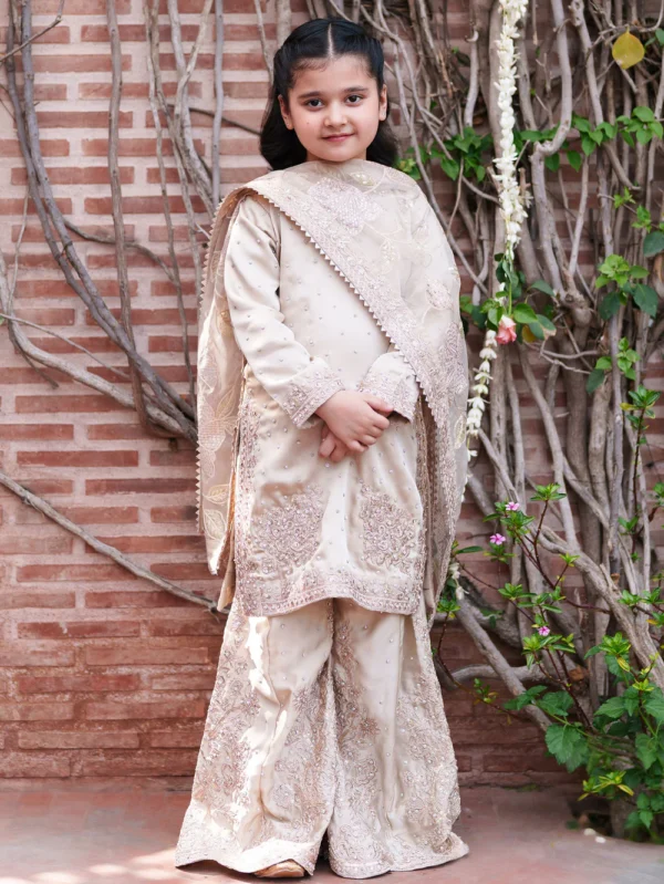 Beige Embroidered Kurta Suit for Women Ireland