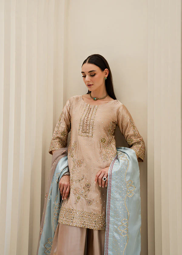 Beige Charmuse Embroidered Suit in Ireland for Weddings - Image 7