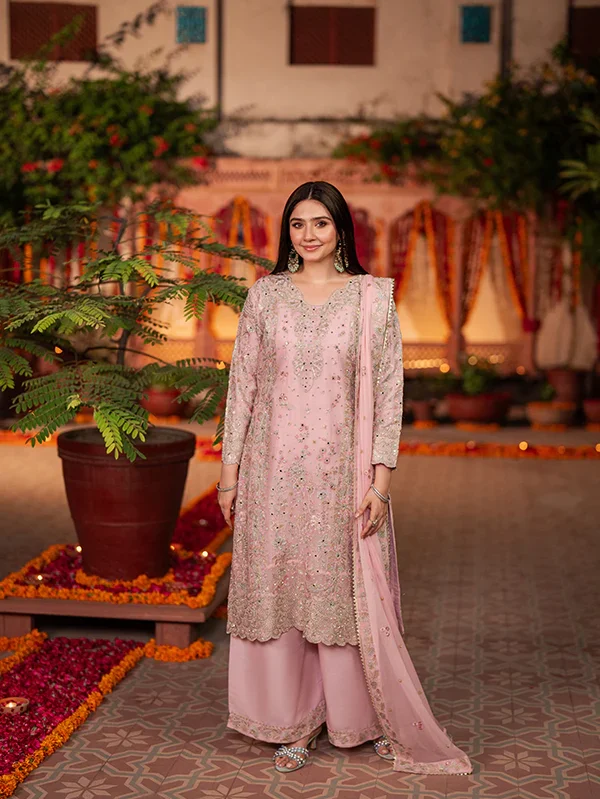 Blush Pink Embroidered Chiffon Suit for Women Ireland