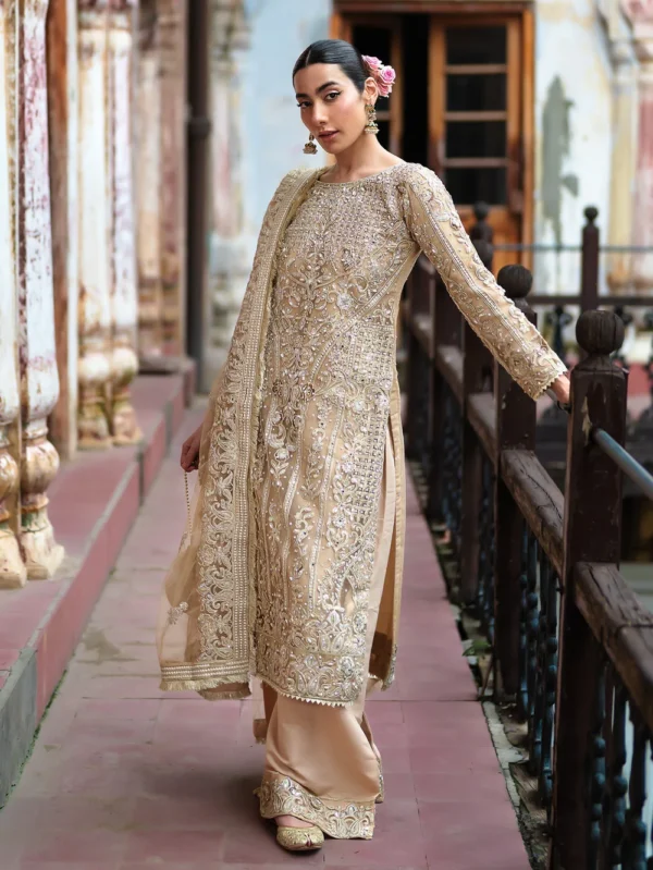 Beige Net Pakistani Wedding Suit for Women Ireland