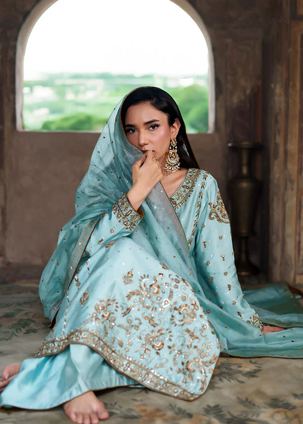Sky Blue Chiffon Party Wear Suit Women Ireland Elegance - Image 6