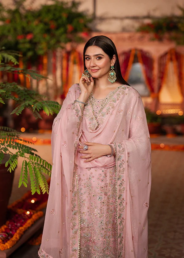 Blush Pink Embroidered Chiffon Suit for Women Ireland - Image 4
