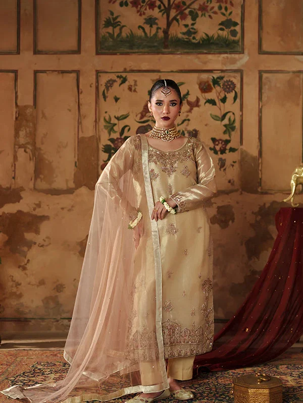 Beige Silk Party Wear Suit for Women in Ireland