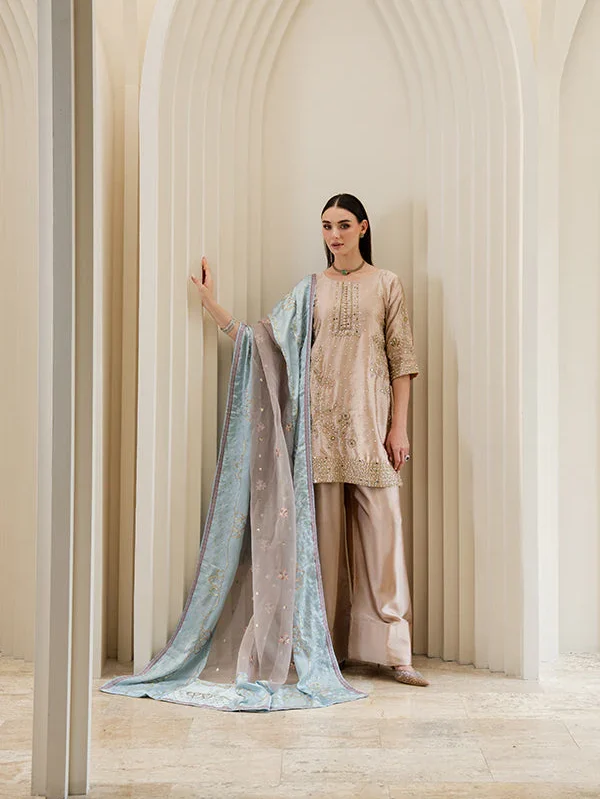 Beige Charmuse Embroidered Suit in Ireland for Weddings