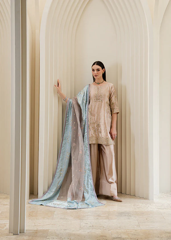 Beige Charmuse Embroidered Suit in Ireland for Weddings