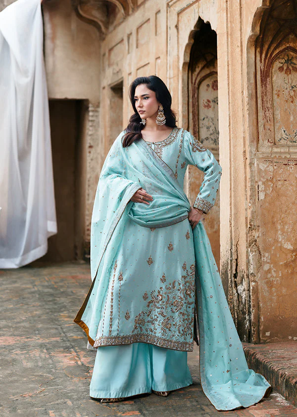 Sky Blue Chiffon Party Wear Suit Women Ireland Elegance - Image 3