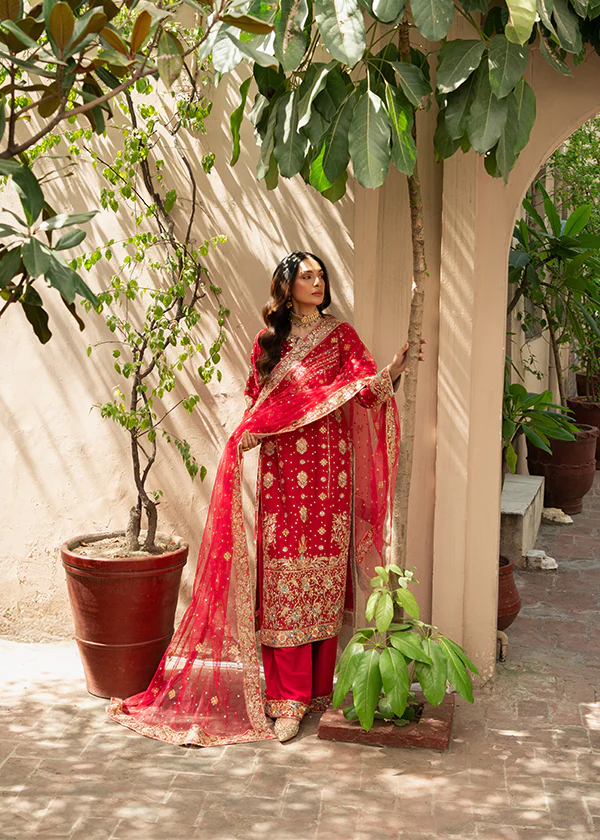 Red Chiffon Embroidered Wedding Suit Ireland Women - Image 9
