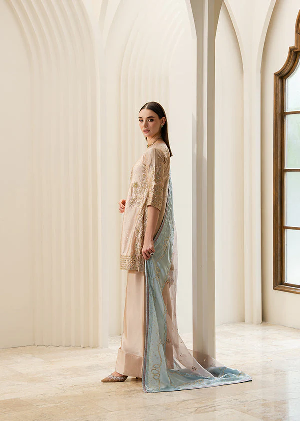 Beige Charmuse Embroidered Suit in Ireland for Weddings - Image 6