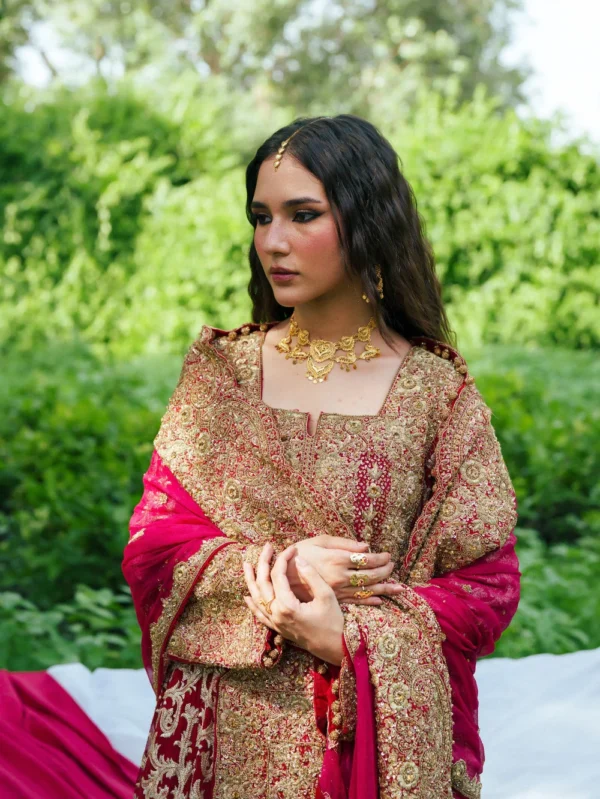 Maroon Chiffon Pakistani Wedding Dress Ireland Women