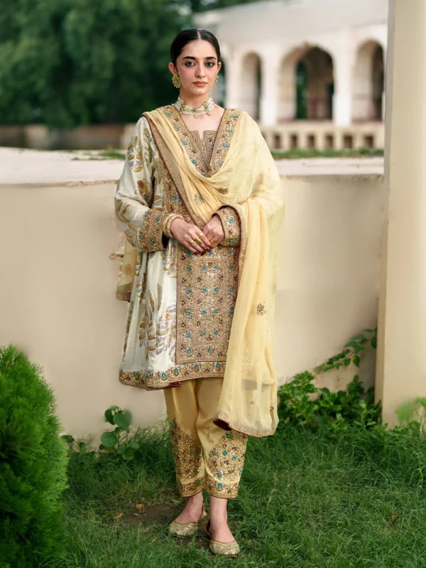 Beige Chiffon Pakistani Wedding Dress for Women Ireland