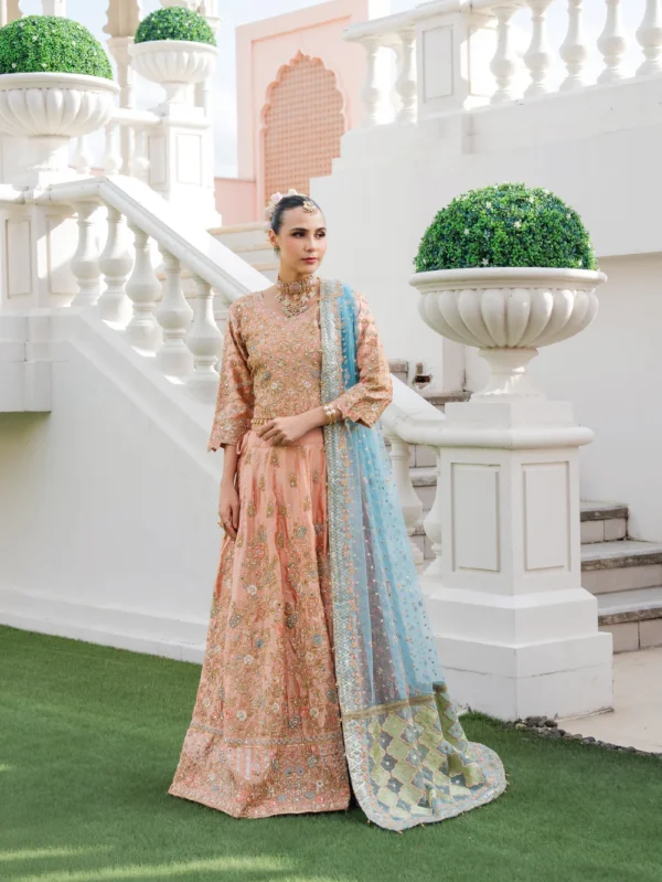 Peach Pink Lehenga Dress Ireland Wedding Party Wear Suit