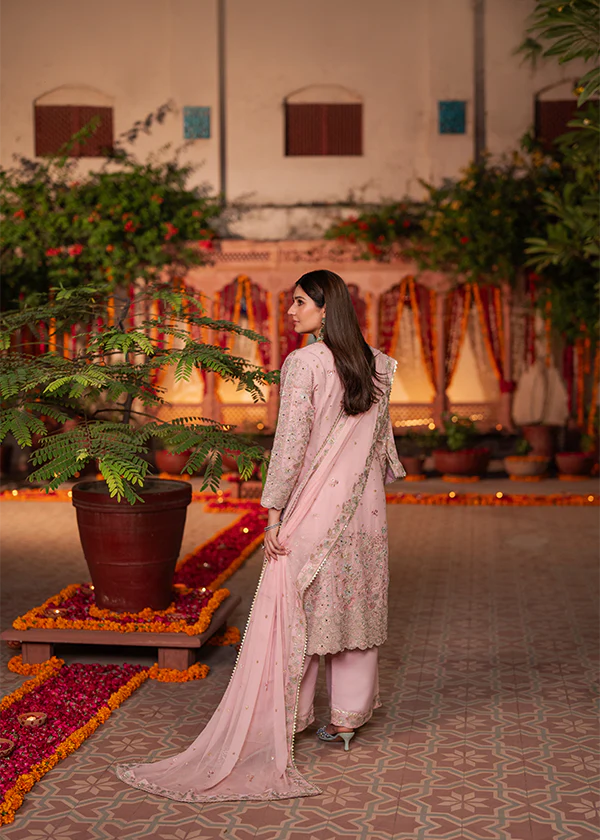 Blush Pink Embroidered Chiffon Suit for Women Ireland - Image 6