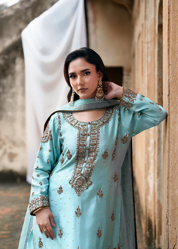 Sky Blue Chiffon Party Wear Suit Women Ireland Elegance - Image 5