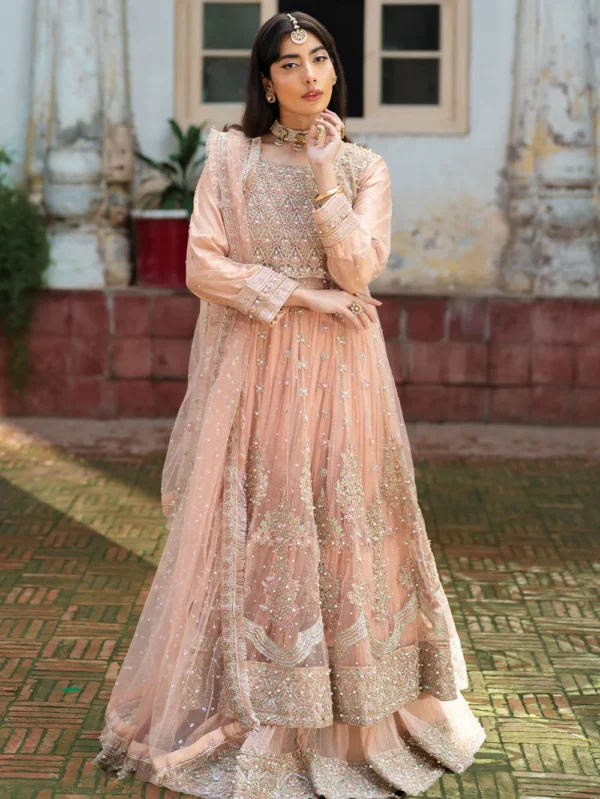 Baby Pink Net Maxi Dress for Weddings in Ireland