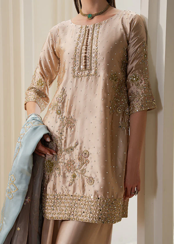 Beige Charmuse Embroidered Suit in Ireland for Weddings - Image 8